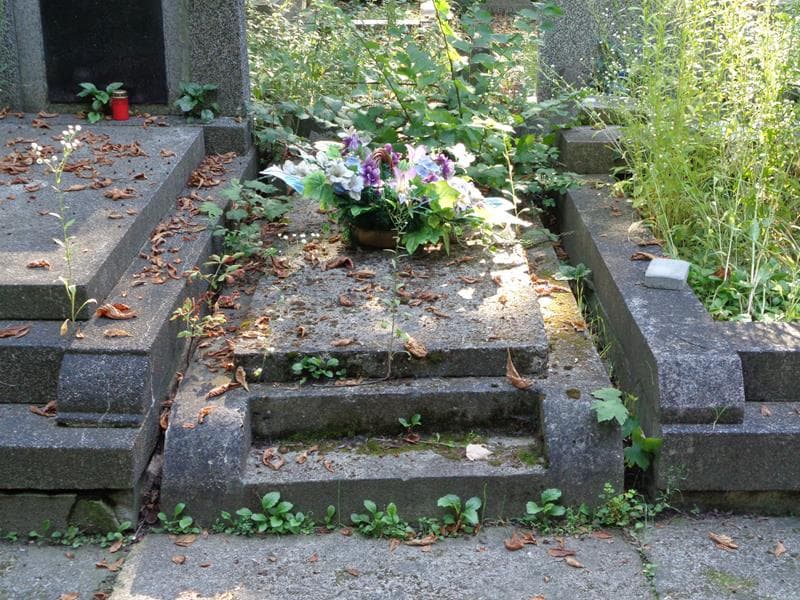 Zdjęcie grobu: Franciszka Egierska