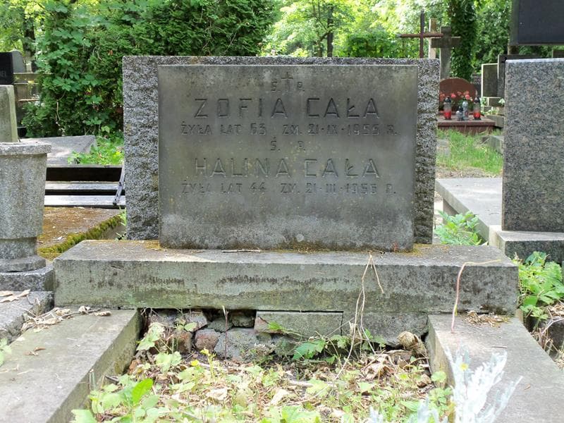 Zdjęcie grobu Halina Cała (2)