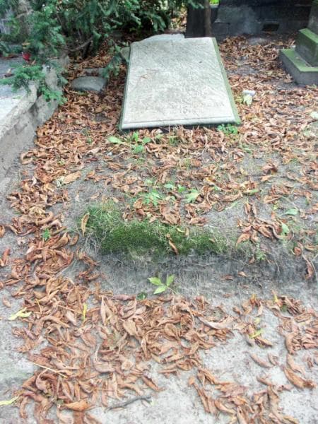 Zdjęcie grobu: Tekla Zawistowska
