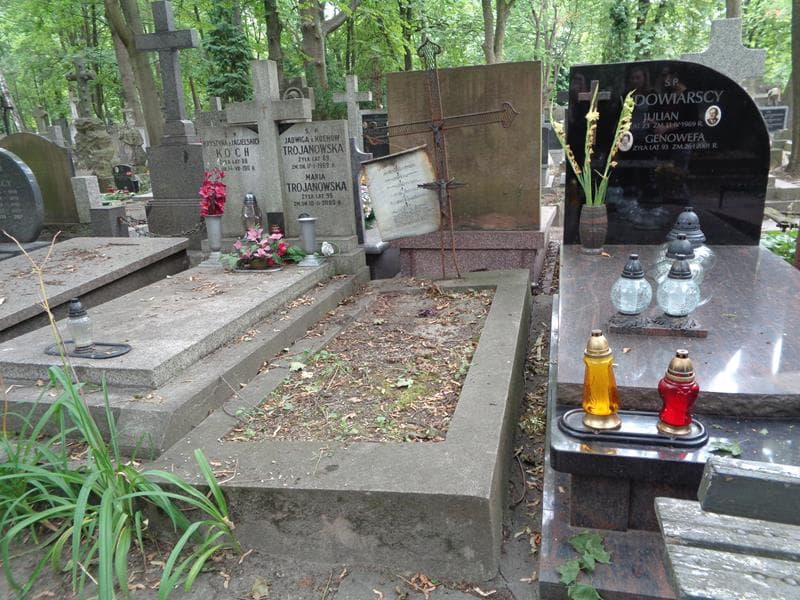Zdjęcie grobu: Julian Larysaa - Domański