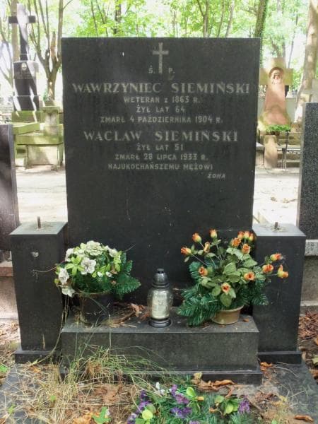 Zdjęcie grobu Wawrzyniec Siemiński (2)