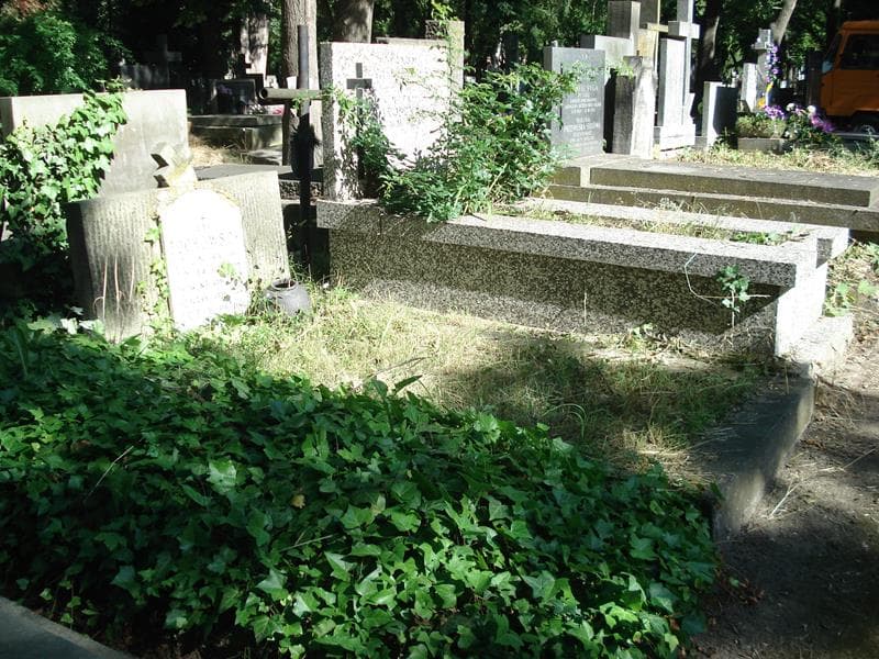 Zdjęcie grobu: Zygmunt Żochowski