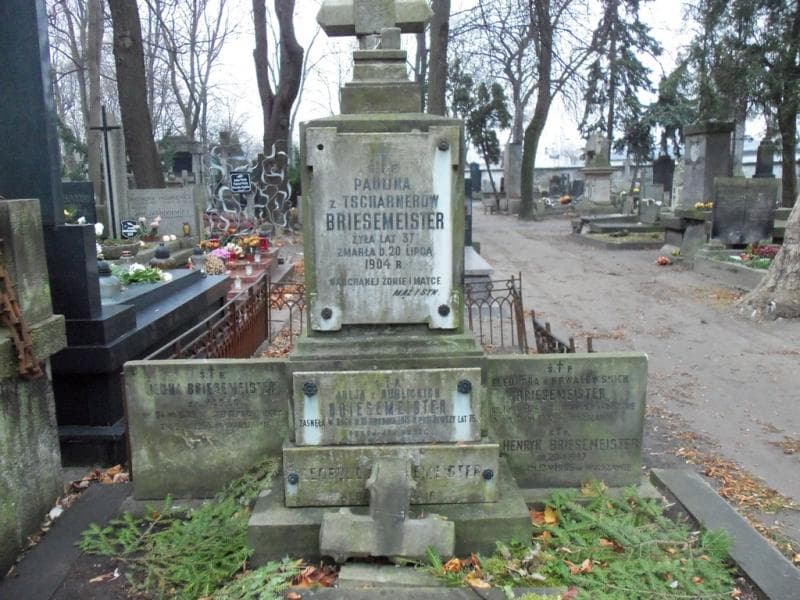 Zdjęcie grobu Leopold Briesemeister (2)