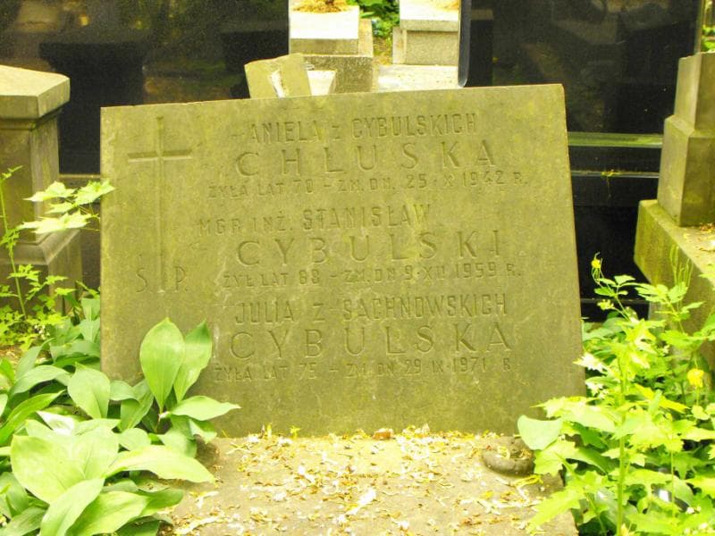 Zdjęcie grobu Stanisław Cybulski (1)