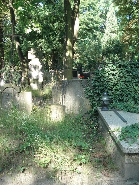 Zdjęcie grobu: Władysław Bogdanowicz