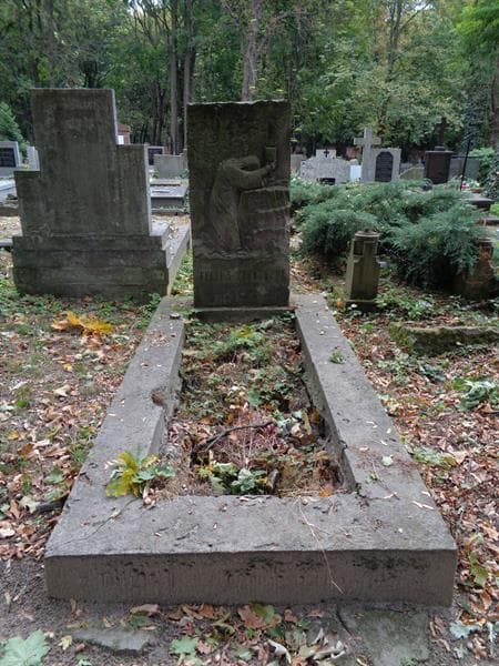 Zdjęcie grobu Feliks Przyżycki (1)