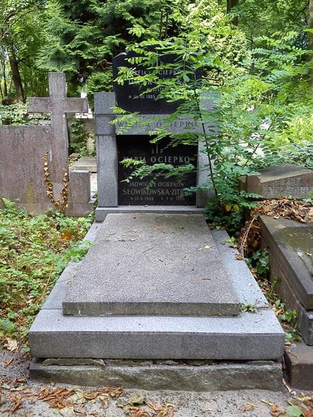 Zdjęcie grobu Maria Ociepko (1)