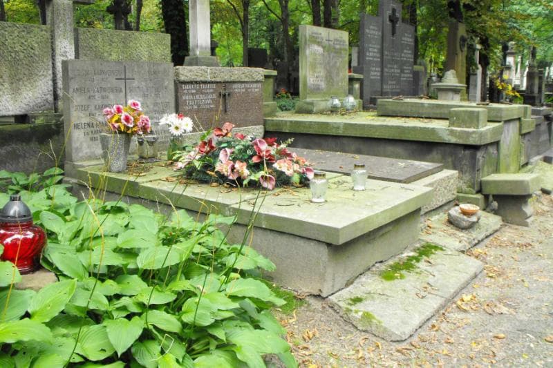 Zdjęcie grobu Aniela Taylor (1)
