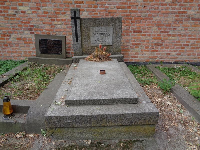 Zdjęcie grobu Michalina Sławińska (1)