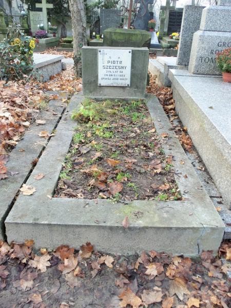 Zdjęcie grobu: Piotr Szczęsny
