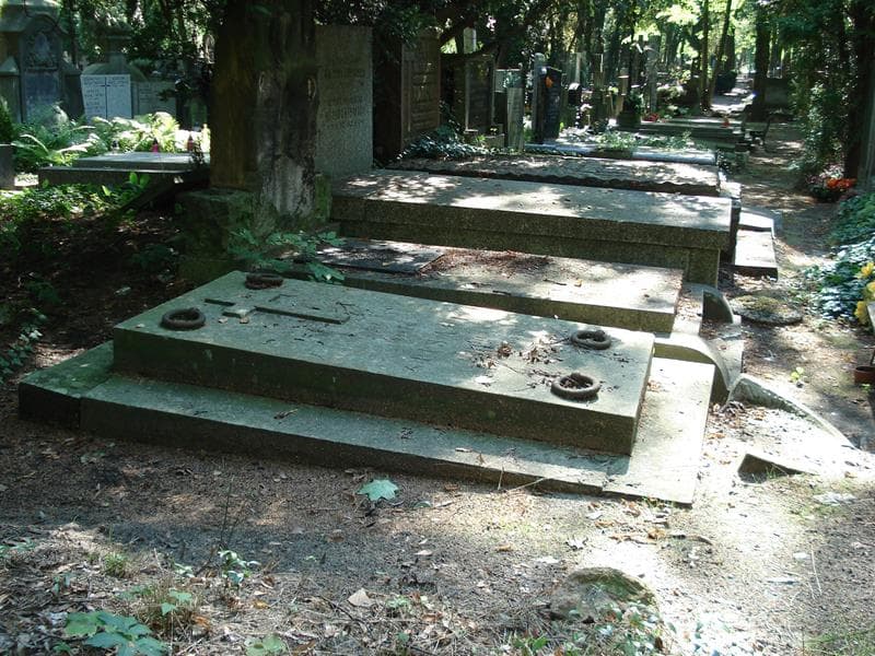 Zdjęcie grobu Piotr Pisani (1)