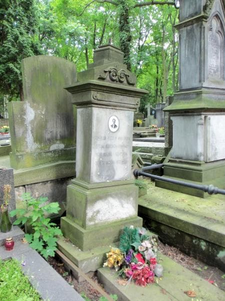 Zdjęcie grobu Leopold Januszewski (2)