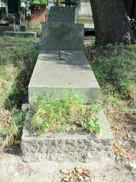 Zdjęcie grobu: Józef Cieśliński
