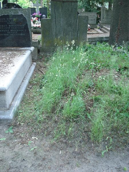 Zdjęcie grobu: Pole Grobowe