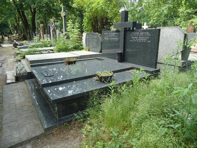 Zdjęcie grobu Maria Jechanowska (1)