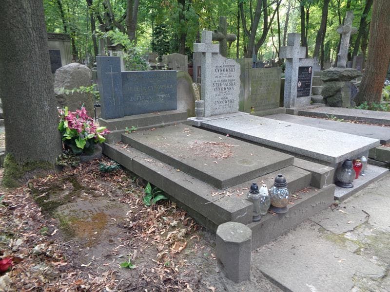 Zdjęcie grobu: Roman Cynowski