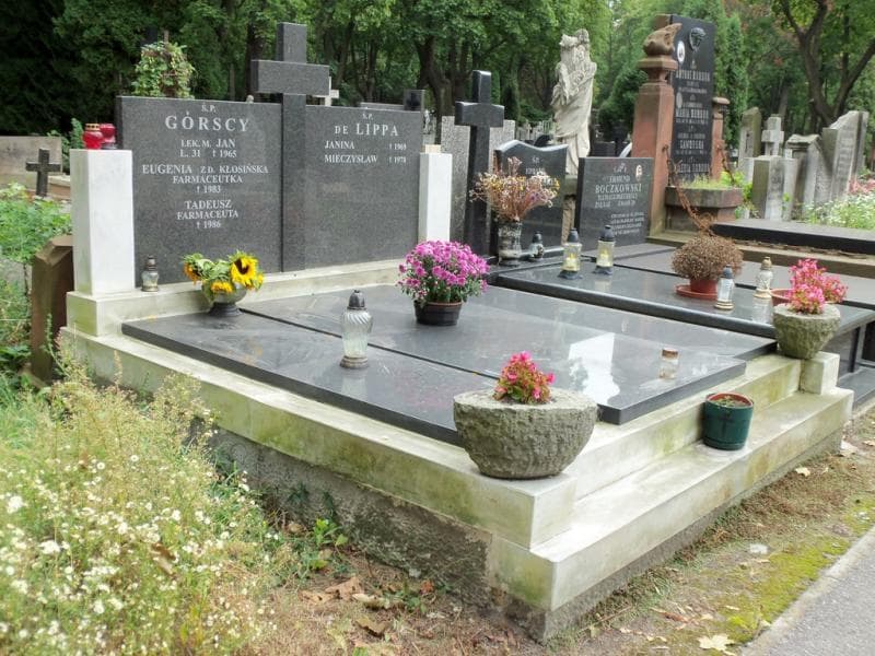 Zdjęcie grobu Jan Górski (1)