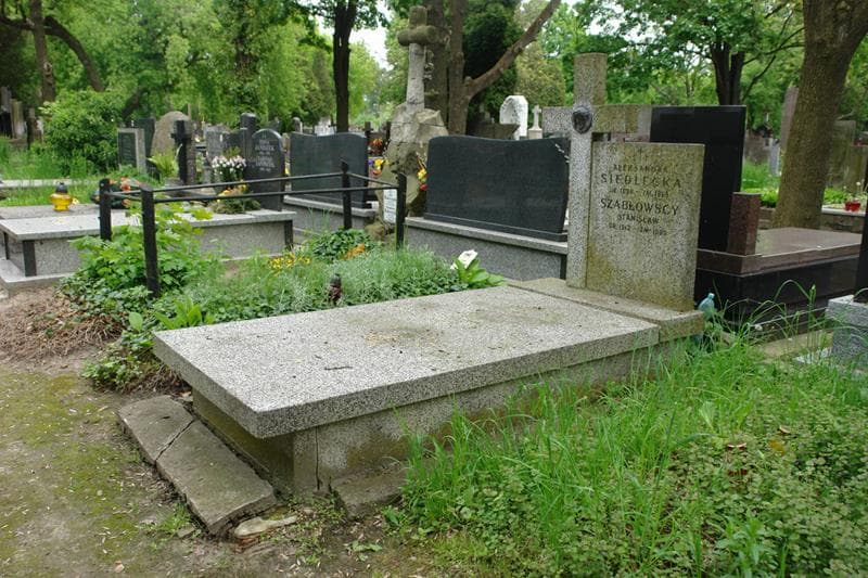 Zdjęcie grobu Aleksandra Siedlecka (1)