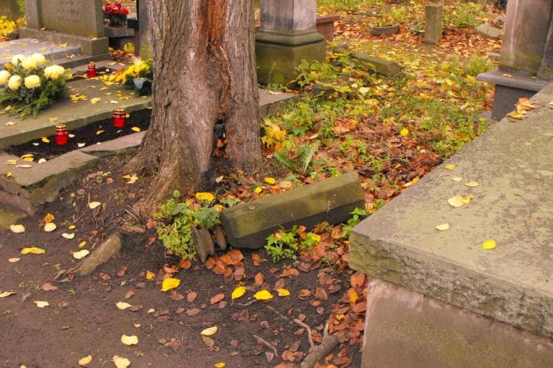Zdjęcie grobu Pole Grobowe (1)