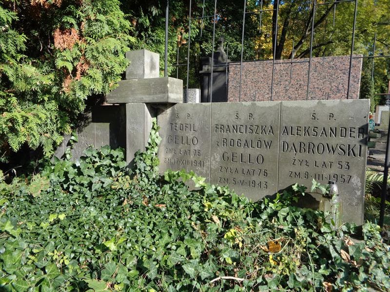 Zdjęcie grobu Aleksander Dąbrowski (2)