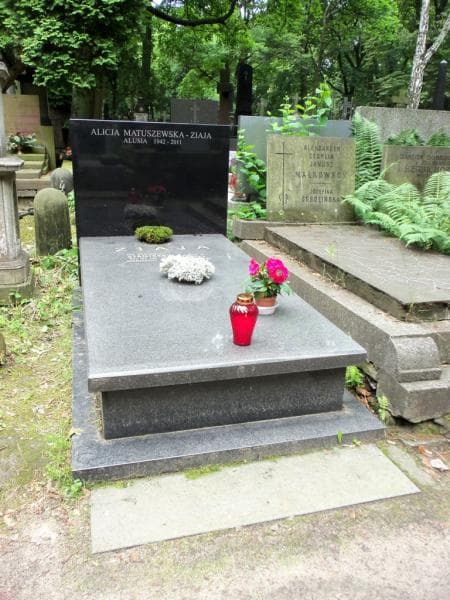 Zdjęcie grobu: Stanisław Ziaja