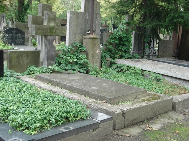 Zdjęcie grobu Weronika Krzyżowska (1)