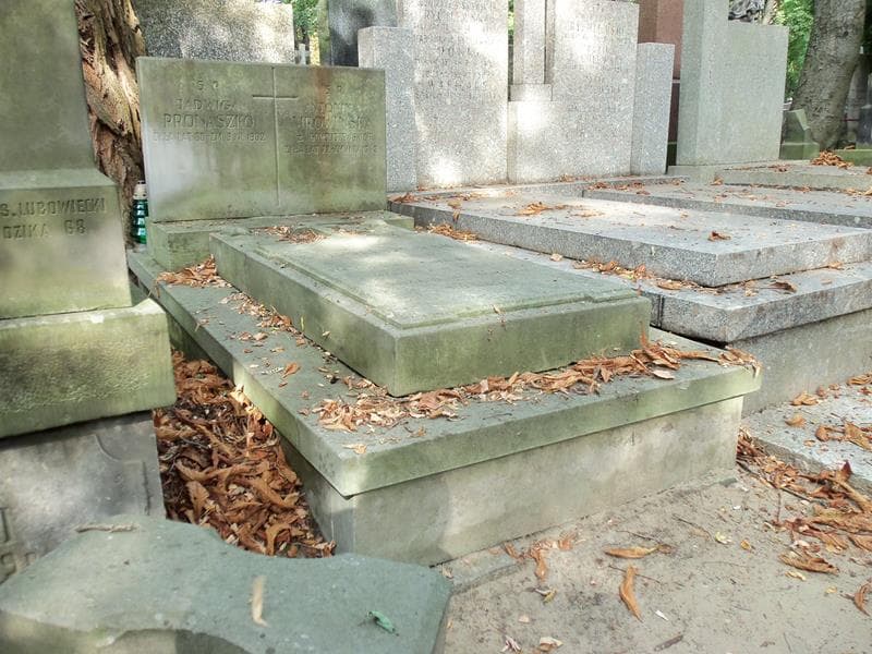 Zdjęcie grobu Łucja Gomoliszewska (1)