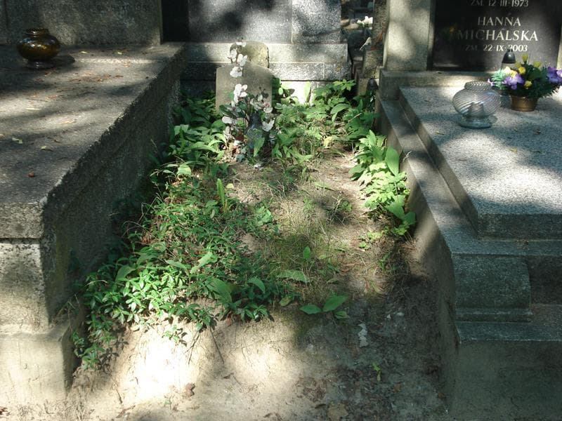 Zdjęcie grobu: Roman Bohl