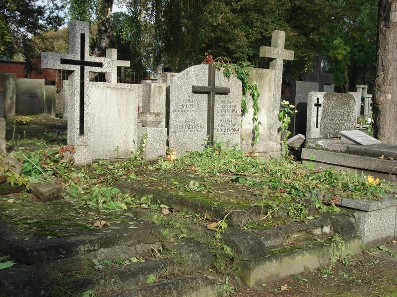 Zdjęcie grobu Leokadia Walczyńska (1)
