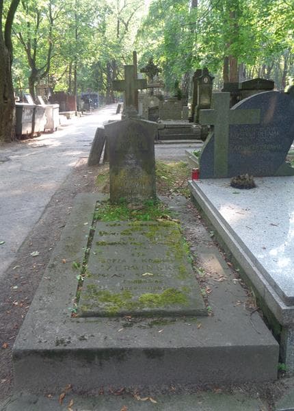 Zdjęcie grobu Leontyna Koch (1)