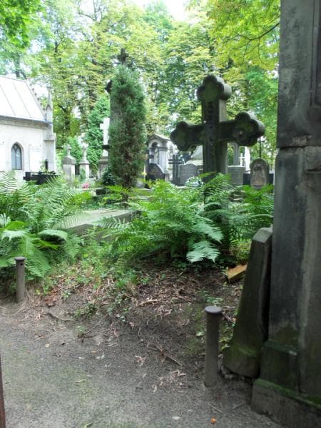 Zdjęcie grobu Witold Niedźwiecki (1)
