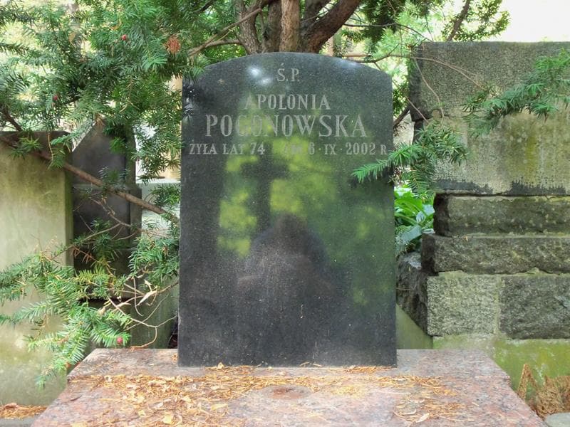 Zdjęcie grobu Apolonia Pogonowska (2)