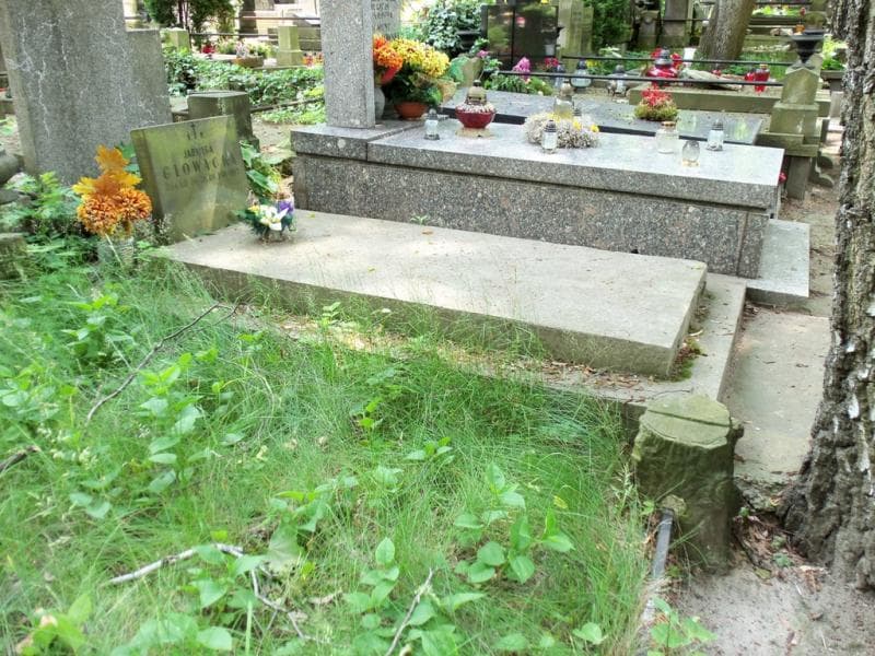 Zdjęcie grobu Jadwiga Głowacka (1)