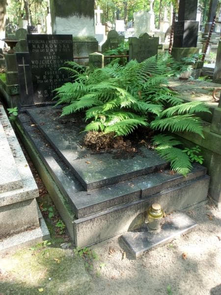 Zdjęcie grobu Józef Wróbel (1)