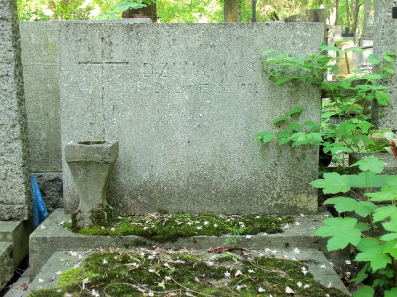 Zdjęcie grobu Jan Dzwigalski (2)