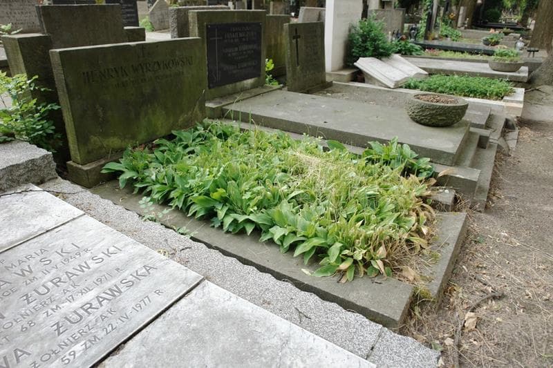 Zdjęcie grobu: Henryk Wyrzykowski