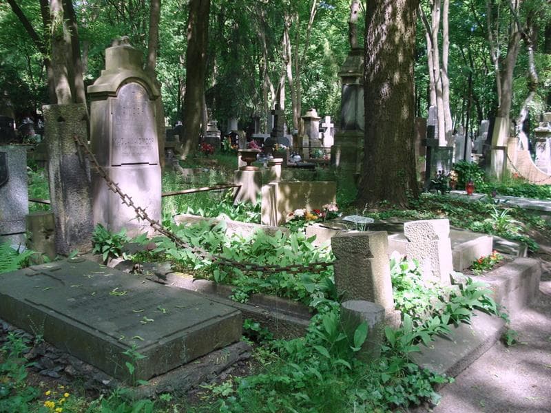 Zdjęcie grobu: Marja Cmoch