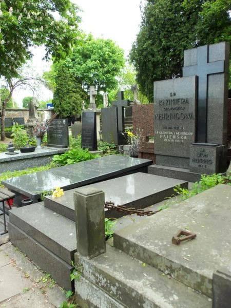 Zdjęcie grobu Leon Nehring (1)