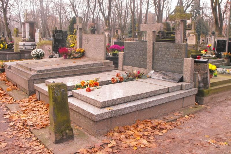 Zdjęcie grobu Stanisław Budzyński (1)