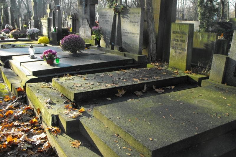 Zdjęcie grobu Kazimierz Górski (1)