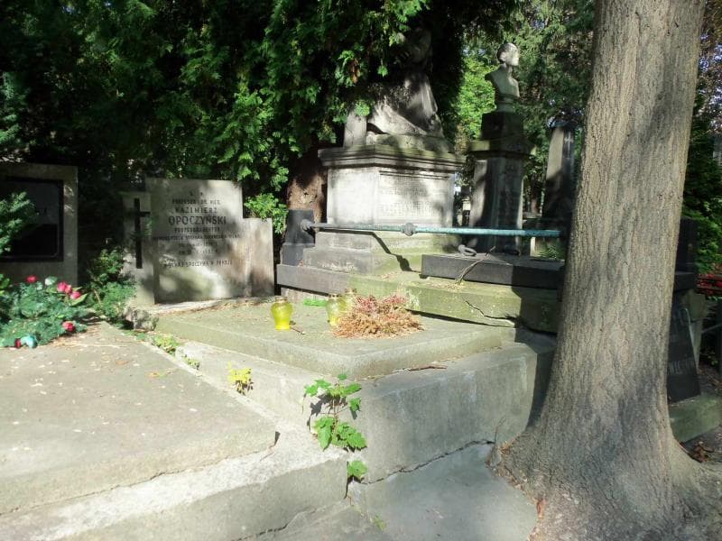 Zdjęcie grobu Kazimierz Opoczyński (1)