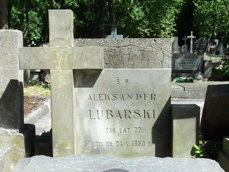 Zdjęcie grobu Aleksander Lubarski (2)