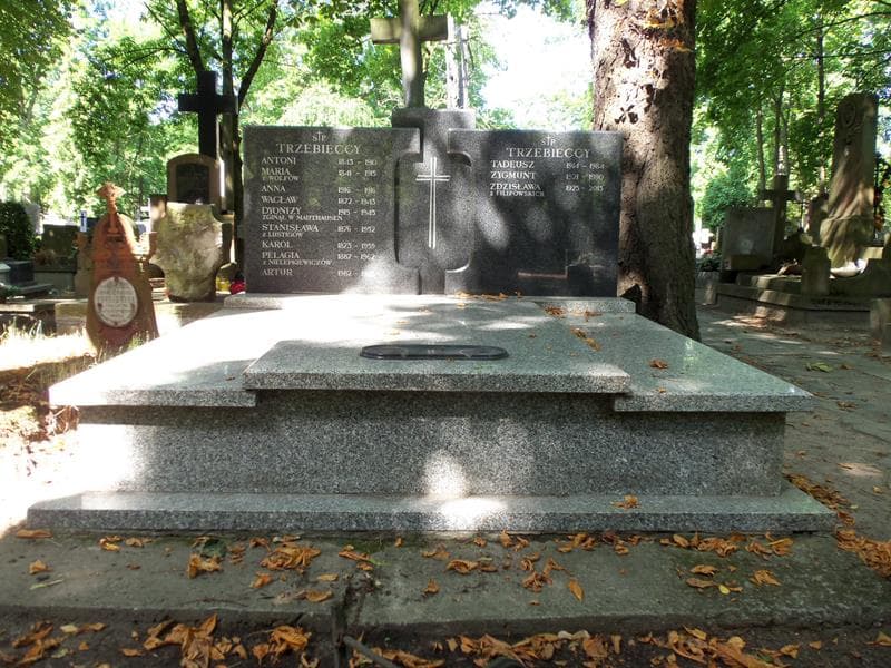 Zdjęcie grobu: Karol Trzebiecki
