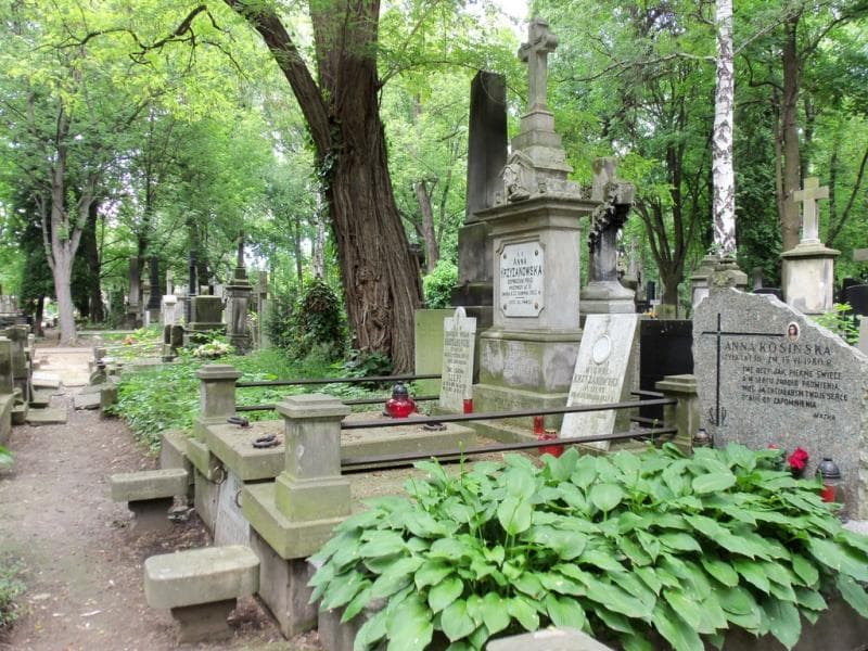 Zdjęcie grobu Emil Czepe (1)