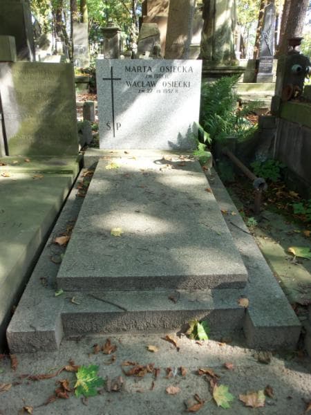 Zdjęcie grobu: Wacław Osiecki
