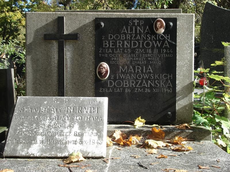 Zdjęcie grobu Maria Dobrzańska (2)
