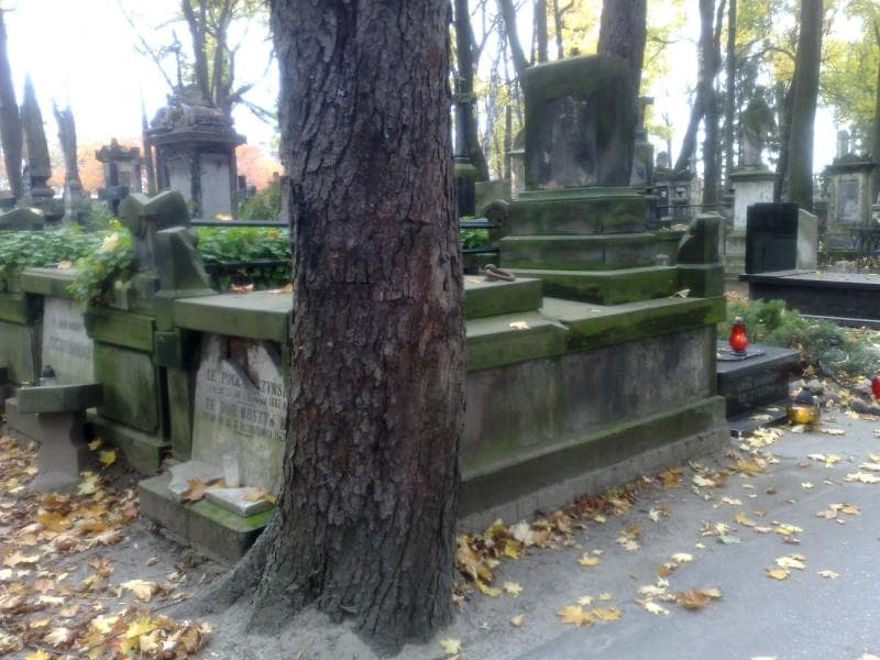 Zdjęcie grobu Maksymilian Bentkowski (1)