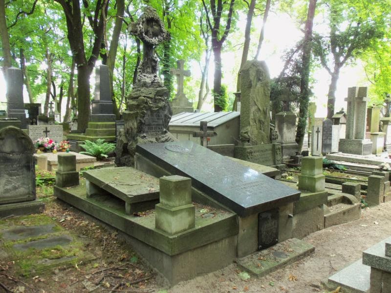 Zdjęcie grobu Witoldek Libicki (1)