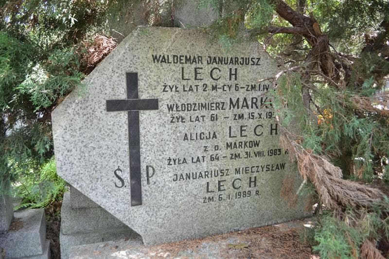 Zdjęcie grobu Januariusz Lech (2)