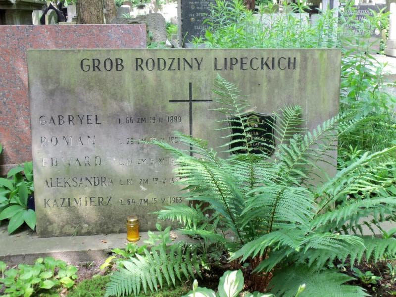 Zdjęcie grobu Roman Lipecki (2)